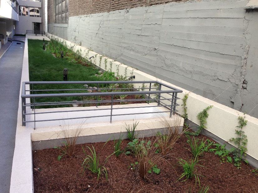 San Francisco Vegetal