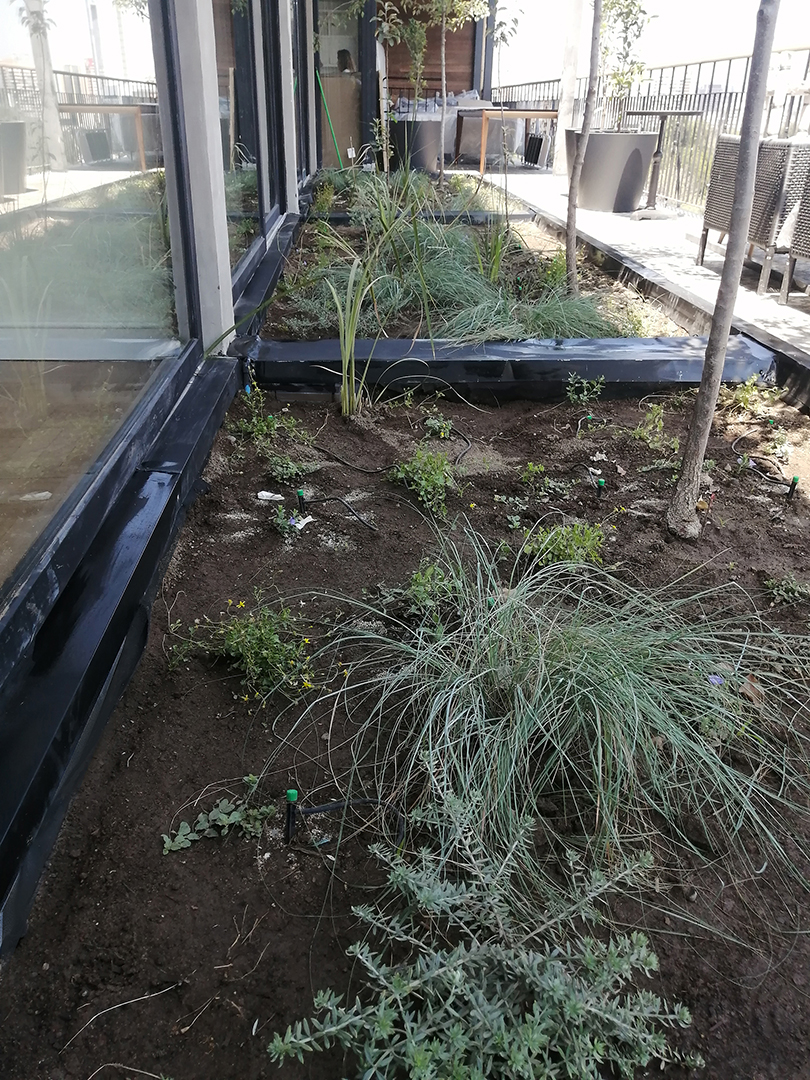 Maldonado Jardineras